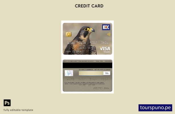 listo para imprimir Pakistán Plantilla de tarjeta clásica de visa bancaria del B